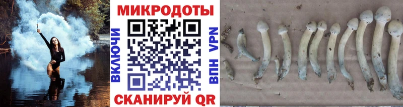 мега ссылка  Саранск  Псилоцибиновые грибы ЛСД 