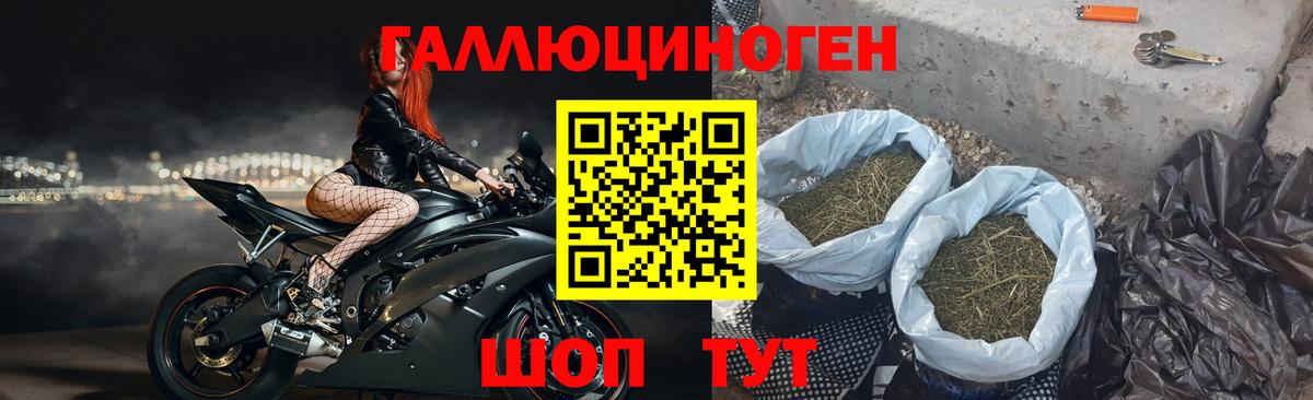 Псилоцибиновые грибы MAGIC MUSHROOMS  Вход с VPN  Псилоцибиновые грибы прущие грибы  Саранск 
